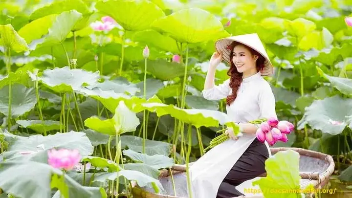 Đồng Sen Tháp Mười (đồng Tháp): Vẻ Đẹp Trong Thơ Ca