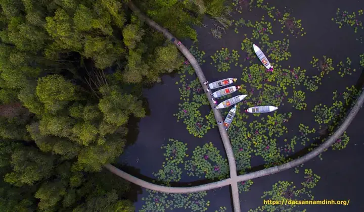 Làng Nổi Tân Lập (long An): Khu Rừng Ngập Nước Độc Đáo