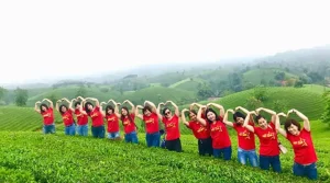 Vé Xe Ô Tô Nghệ An Đến Phú Thọ