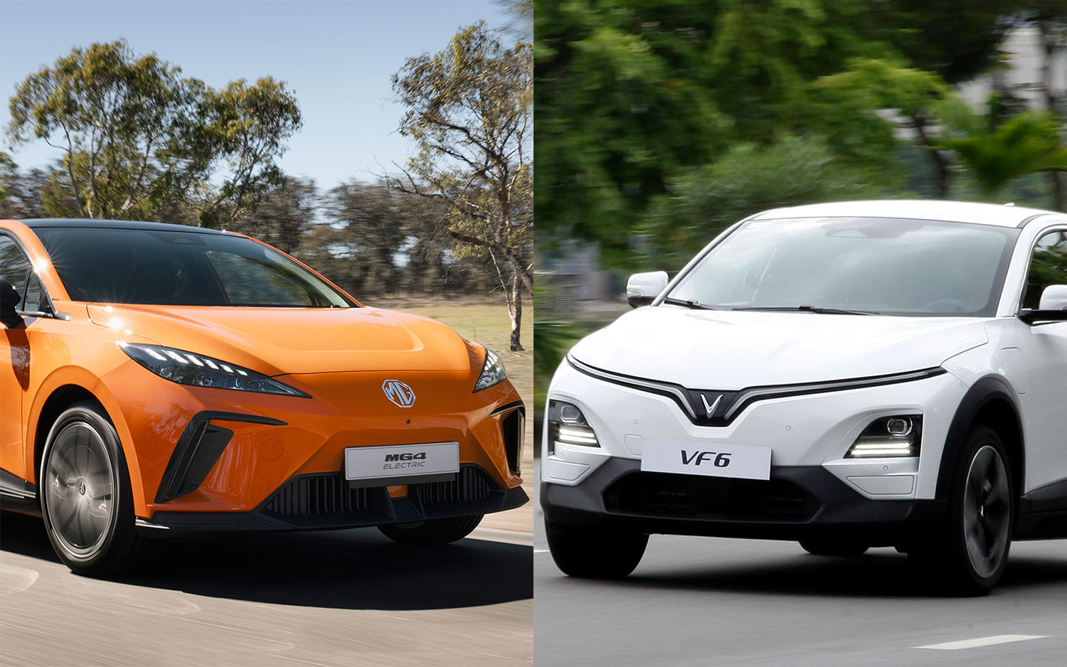 vf6 nang bao nhieu kg 2