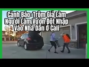 Cách Tận Dụng Vỏ Xe Ô Tô Cũ Làm Vườn: Biến Rác Thành Tài Nguyên Xanh
