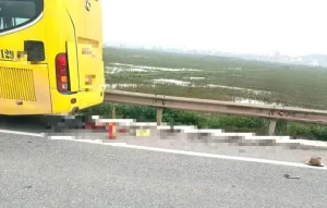 Tai Nạn Giao Thông Mới Nhất 14/11/2025: Hai Người Tử Vong Sau Va Chạm Với Ô Tô Tải