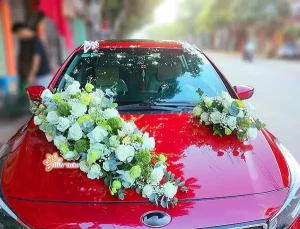 Tính Ứng Dụng Tối Ưu Của Định Dạng Png