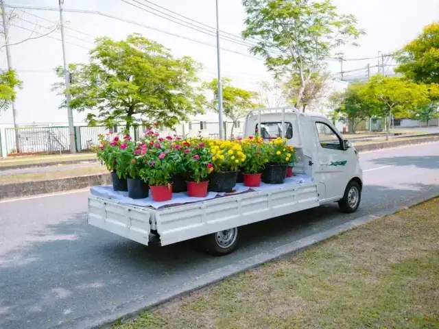 Mục Đích Sử Dụng