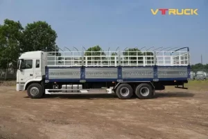 Xe Ô Tô 3 Bánh Là Gì? Tổng Quan Chi Tiết Về Phương Tiện Đặc Biệt Này