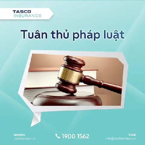 Vì Sao Nên Mua Bảo Hiểm Xe Ô Tô 45 Chỗ?