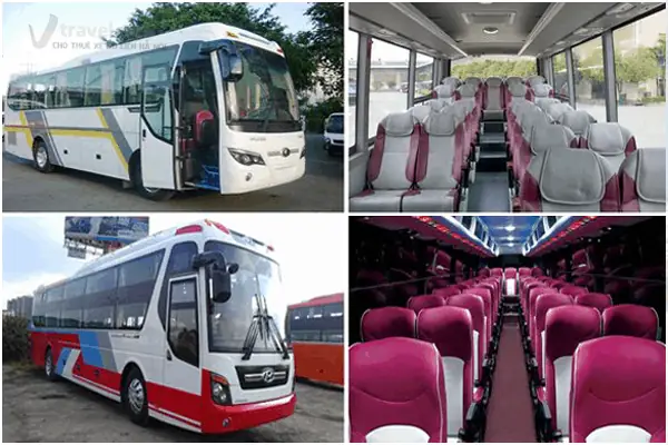 Quy Định Pháp Luật Về Lái Xe Ô Tô 60 Chỗ: Độ Tuổi, Sức Khỏe Và Bằng Lái