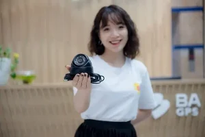 Giải Pháp Quản Trị Phương Tiện Vận Tải Hiệu Quả Nhất Hiện Nay