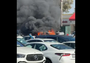 Xe Ô Tô 99 Triệu Của Pháp Có Thực Sự Tồn Tại? Phân Tích Chi Tiết Nhất