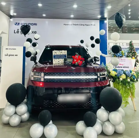 Xe Ô Tô Bi Phun Sơn Ơ Mulbery Land