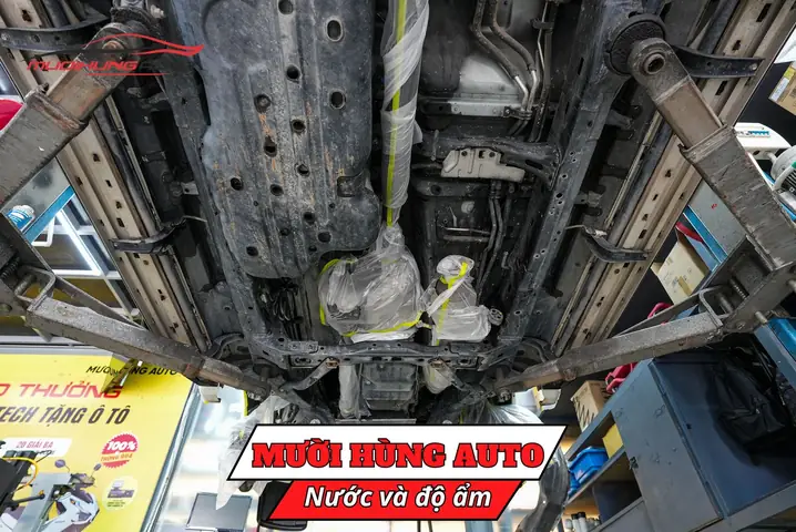 Nước Và Độ Ẩm