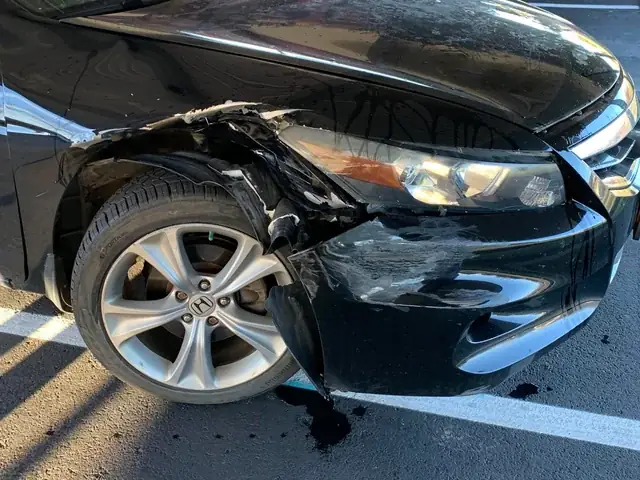 Xe Ô Tô Bùn Lì: Khám Phá Dòng Xe Địa Hình "không Biết Sợ" Bùn Đất