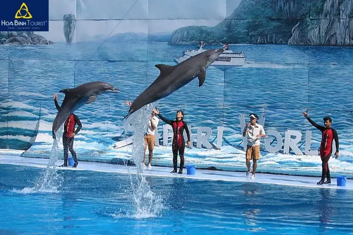 Công Viên Động Vật Hoang Dã Safari World