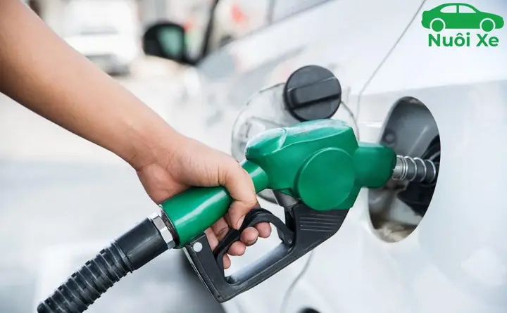 Lít Xăng Chạy Được Bao Nhiêu Km Trên Các Dòng Ô Tô Phổ Biến Năm 2026