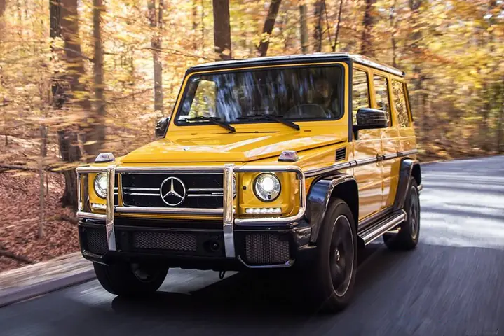 Mercedes-benz G-class (2018)