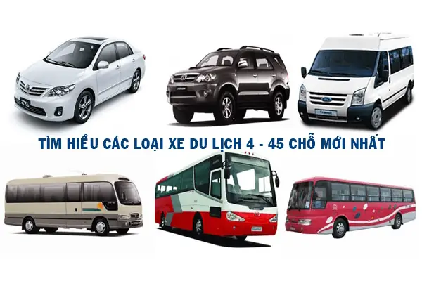 Xe Ô Tô Có Những Loại Bao Nhiêu Chỗ? Phân Loại Chi Tiết Và Cách Chọn Xe Phù Hợp