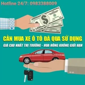 Mua Xe Ô Tô Cũ Hà Giang: Hướng Dẫn Chọn Xe An Toàn, Giá Tốt