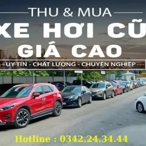 Xe Ô Tô Cũ Khánh Hòa: Cẩm Nang Mua Bán & Kiểm Tra Toàn Diện 2025