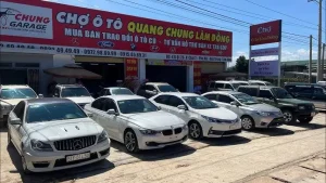 Top 5 Tiêu Chí Quan Trọng Khi Mua Xe Ô Tô Cũ Tại Lâm Đồng