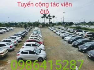 Lưu Ý Khi Mua Xe Ô Tô Cũ Tại Các Salon Lớn