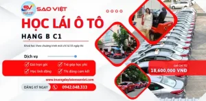Xe Ô Tô Của Các Sao Việt: Đẳng Cấp Và Gu Chọn Xe Thể Hiện Cá Tính