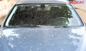 Nước Mưa Làm Sơn Xe Dễ Phai Màu