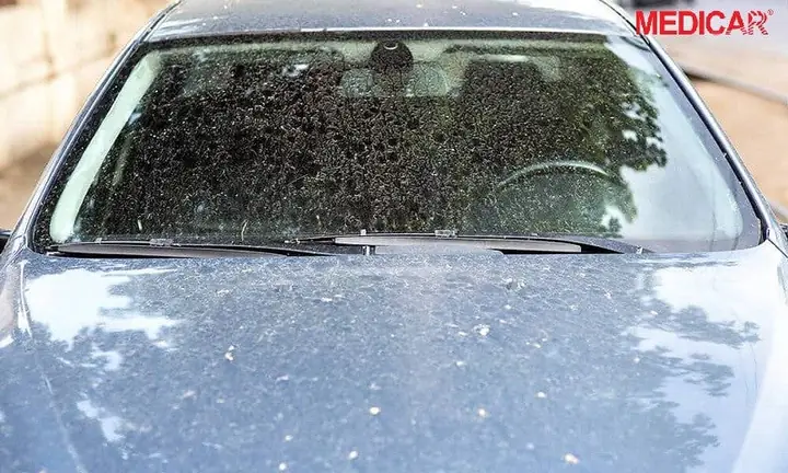 Nước Mưa Làm Sơn Xe Dễ Phai Màu