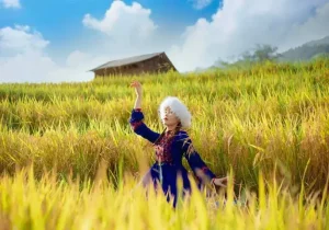 Sa Pa Và Y Tý: Nơi Giao Thoa Giữa Lúa Vàng Và Sương Mù