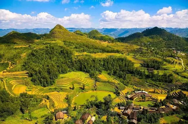 Hà Giang: Khởi Đầu Mùa Hoa Tam Giác Mạch