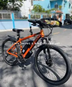 Xe Trợ Lực Điện