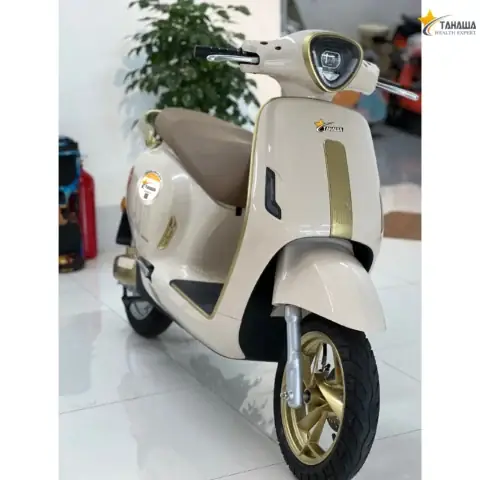 Các Hãng Xe Nhật Bản Tiên Phong Trong Kỷ Nguyên Điện Hóa