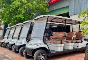 Hiện Nay Tại Các Điểm Du Lịch Thường Xuất Hiện Những Loại Phương Tiện Ô Tô Điện Chở Khách ( Xe Điện Du Lịch ), Nó Được Phục Vụ Nhu Cầu Chuyên Chở Hàng Hóa Hoặc Hành Khách Tại Các Điểm Resort, Các Địa Điểm Tham Quan Du Lịch, Sân Bay, Bến Xe. Nhưng Nhiều Người Vẫn Chưa Biết Khi Lái Những Loại Phương Tiện Này Thì Cần Gplx Loại Gì, Ngoài Gplx Ra Phải Cần Những Tiêu Chuẩn Gì Đê Lái Được Loại Phương Tiện Này?