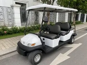 Xe Điện Du Lịch Vncar 6 Chỗ (95%)