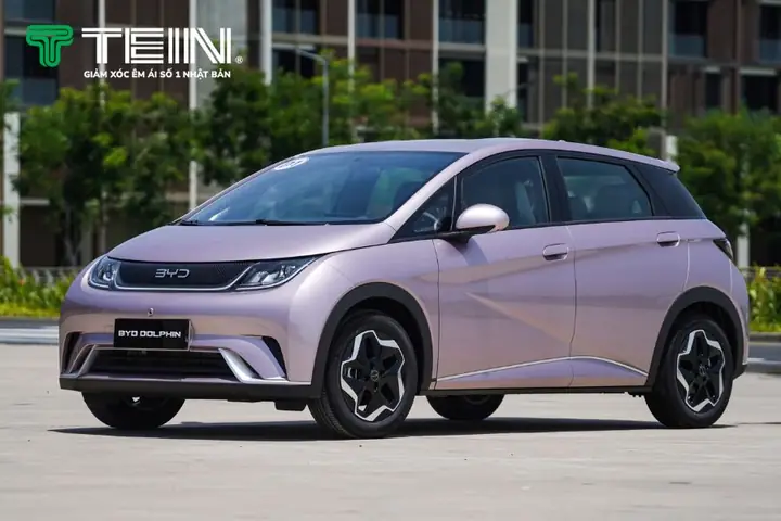 Byd Dolphin – Phong Cách Trẻ Trung, Hiện Đại