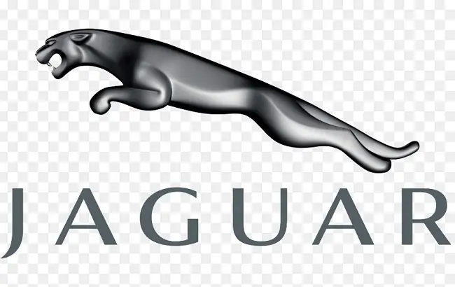 Ý Nghĩa Sâu Sắc Của Biểu Tượngxe Ô Tô Hình Con Báojaguar