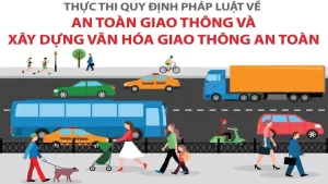 Xe Ô Tô Lao Xuống Ruộng