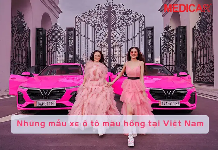 Xe O To Mau Hong