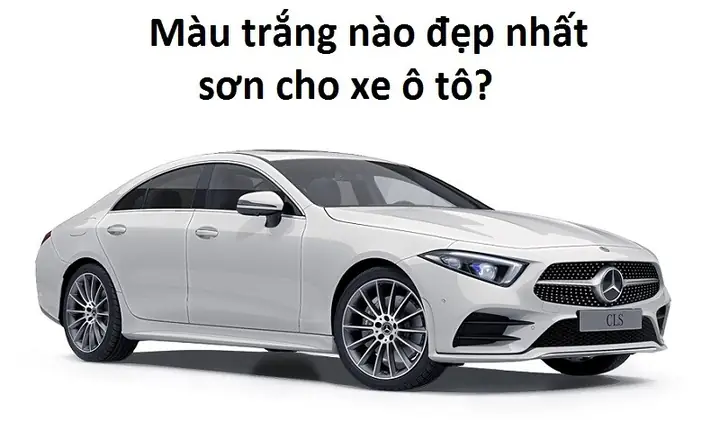 Xe Ô Tô Màu Trắng Bạc: Lựa Chọn Lý Tưởng Cho Người Dùng Hiện Đại