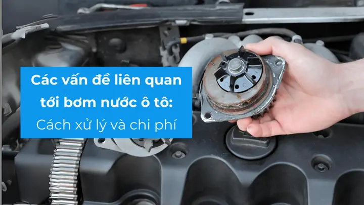 Hướng Dẫn Tra Cứu Và Xử Lý Khi Biết Biển Số Xe Ô Tô: Trường Hợp Xe Ô Tô Mang Bảng Số 92a-11504