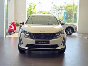 Ngoại Thất Xe Peugeot 3008