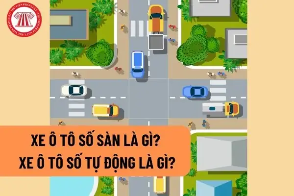 Xe Ô Tô Số Sàn Là Gì? Xe Ô Tô Số Tự Động Là Gì?