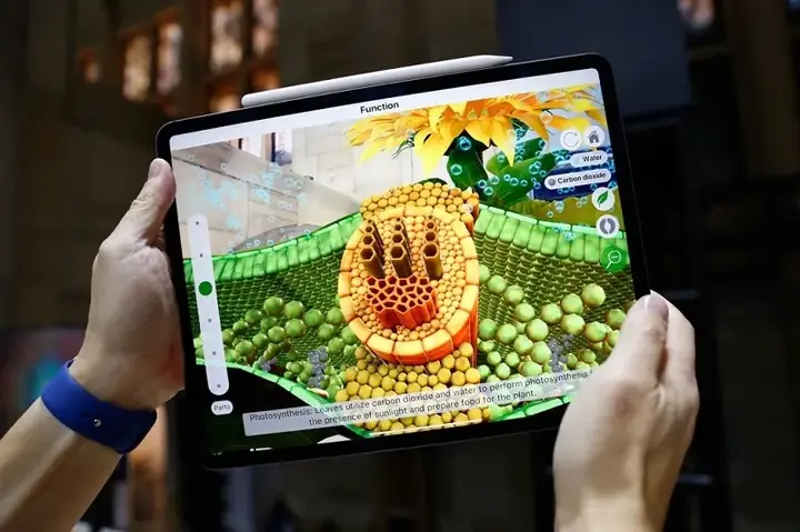 Ipad Air 2: Lựa Chọn Tiết Kiệm Tối Đa