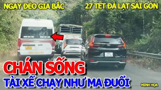 Kinh Nghiệm Đi Xe Ô Tô Từ Đà Lạt Đi Sài Gòn Chi Tiết Nhất