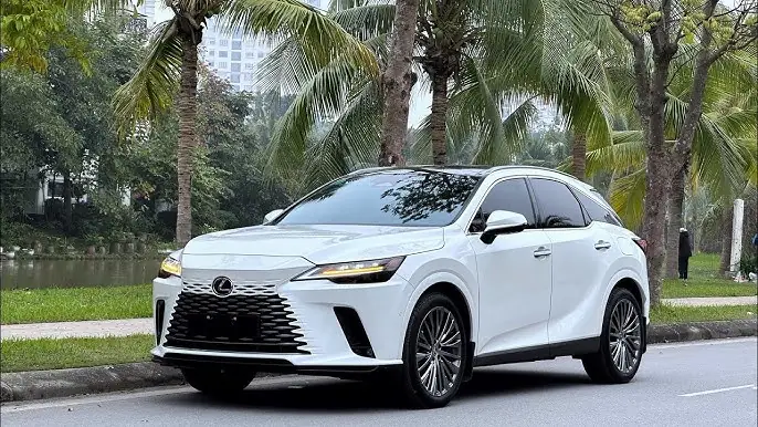 Đánh Giá Chi Tiết Xe Ô Tô Venza 2010 Cũ