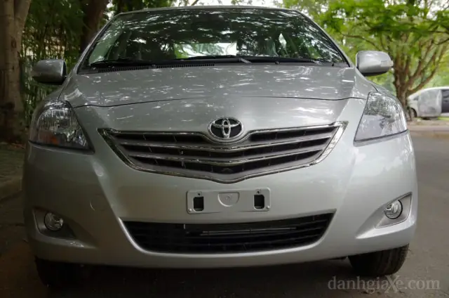 Tổng Quan Về Ngoại Hình