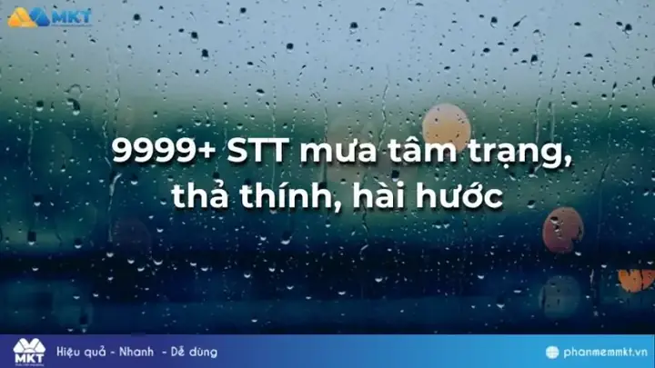 Stt Về Mưa Vui Nhộn: Tổng Hợp Status Hài Hước Và Thả Thính Dính Ngay