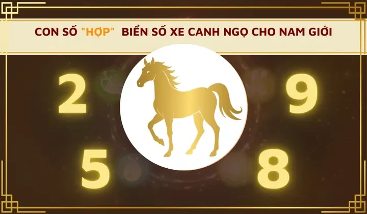 Giải Mã Ý Nghĩa Biển Số Xe Hợp Tuổi Canh Ngọ 2025: Tìm Hiểu Các Yếu Tố Ảnh Hưởng Đến Sự May Mắn