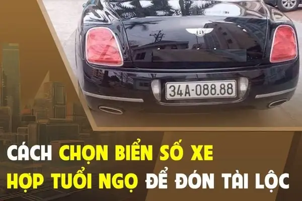Giải Mã Ý Nghĩa Biển Số Xe Hợp Tuổi Canh Ngọ 2025: Tìm Hiểu Các Yếu Tố Ảnh Hưởng Đến Sự May Mắn