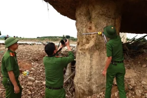 Xem Xet Cho Xe O To Con Loai Tu 7 Cho Tro Xuong Luu Thong Qua Cau Song Lo Hinh Anh 3