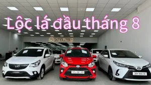 Hướng Dẫn Toàn Tập Xem Số Xe Ô Tô Đẹp Theo Phong Thủy: Ý Nghĩa, Tiêu Chí Và Cách Hóa Giải